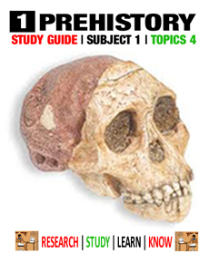 Study 1 Prehistory_Icon-230