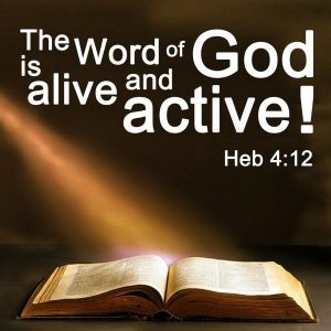 word-is-active